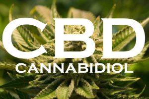 Best CBD Oil – Buy Cannabis Oil Online