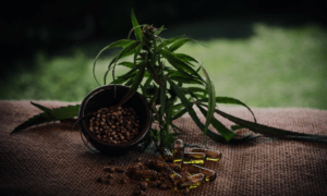 Does CBD Give Your Energy Cannabidiol and Fatigue